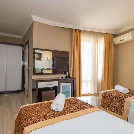 Avsar Boutique Hotel *